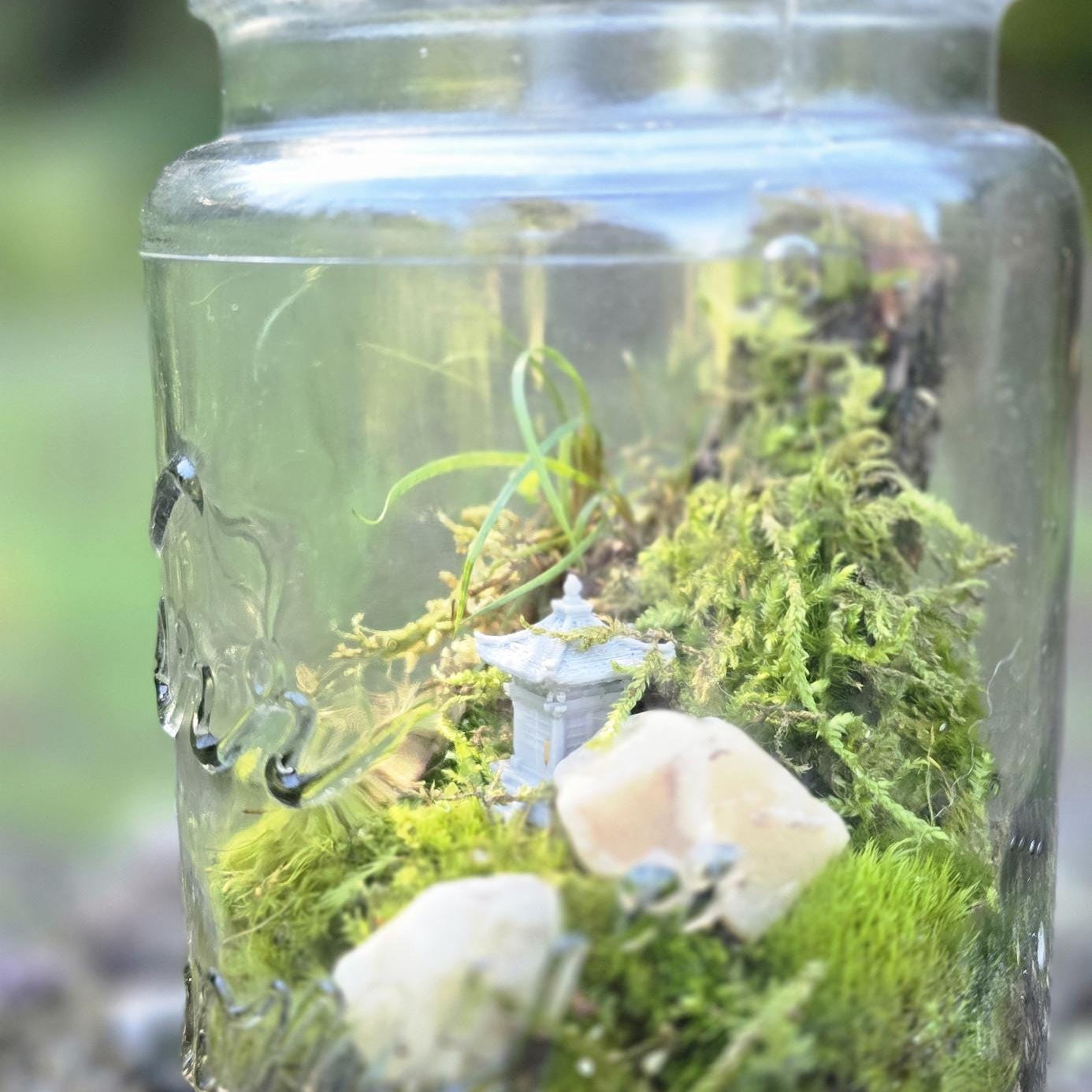 The Century Ecosystem - DIY Terrarium Kit