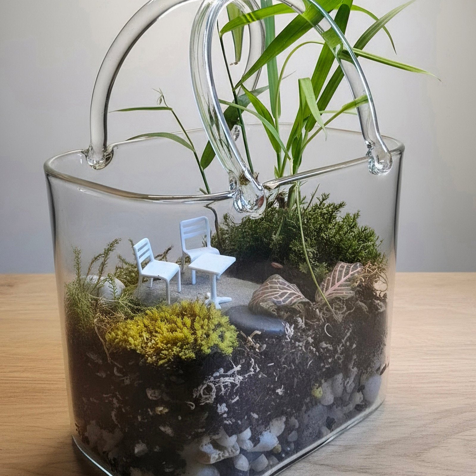 Purse Terrarium – Complete Miniature Ecosystem image 1
