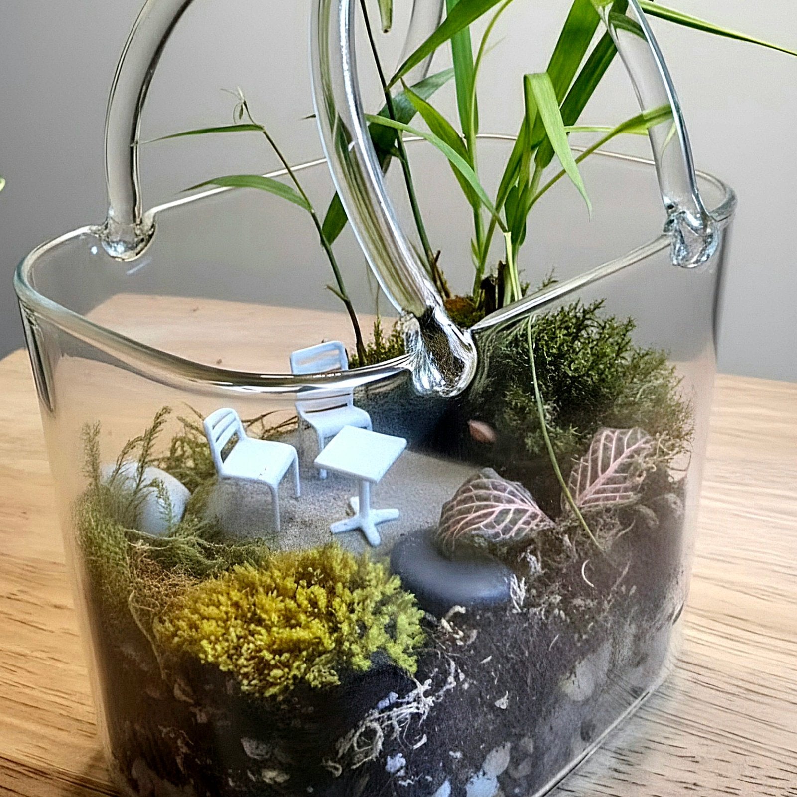 Purse Terrarium – Complete Miniature Ecosystem image 2
