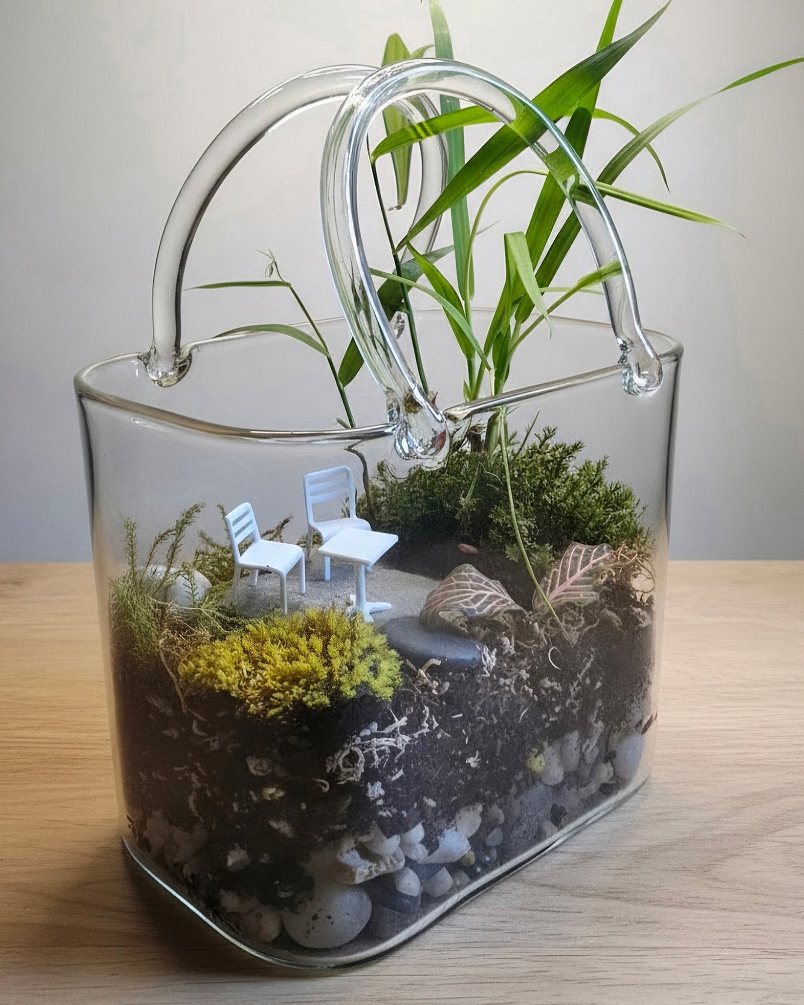 Purse Terrarium – Complete Miniature Ecosystem image 1