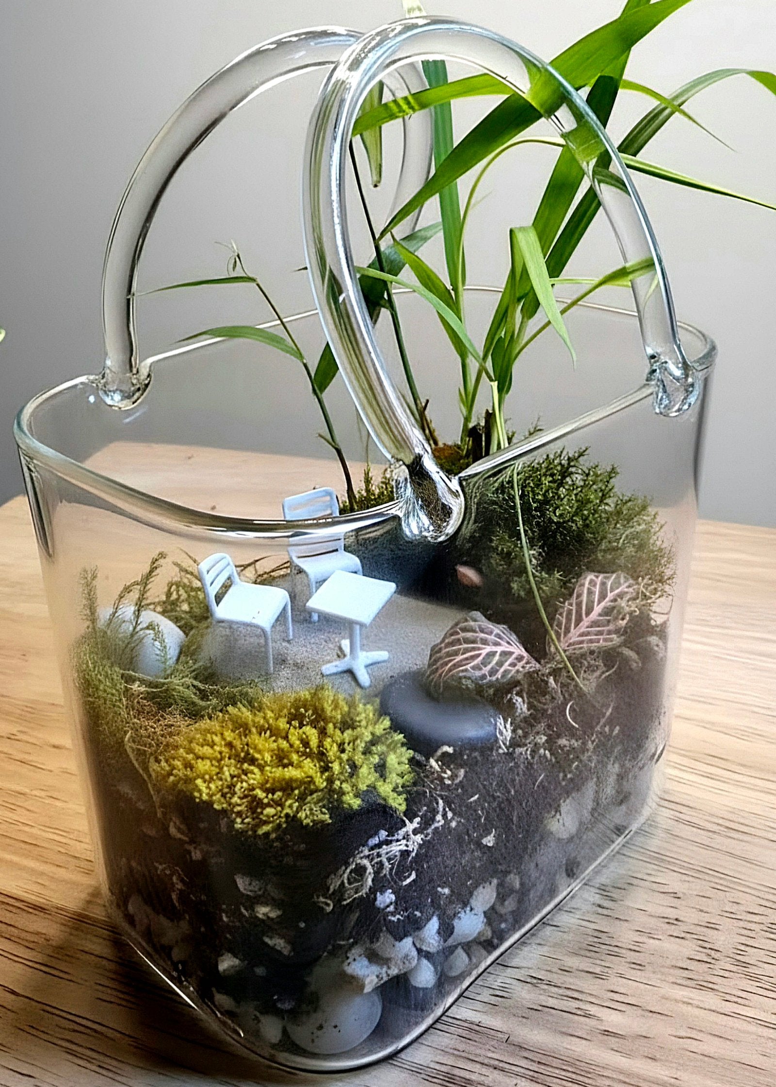 Purse Terrarium – Complete Miniature Ecosystem image 2