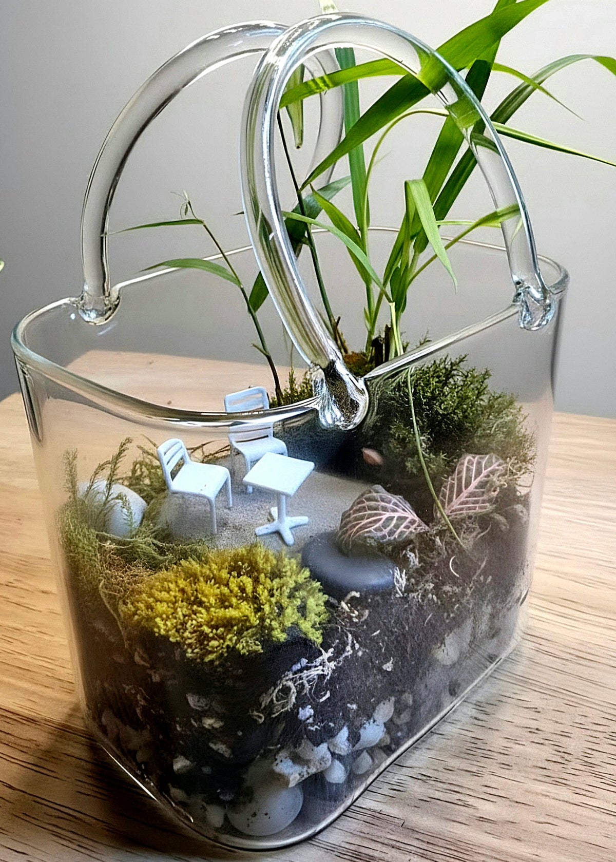 Purse Terrarium – Complete Miniature Ecosystem image 2 thumbnail